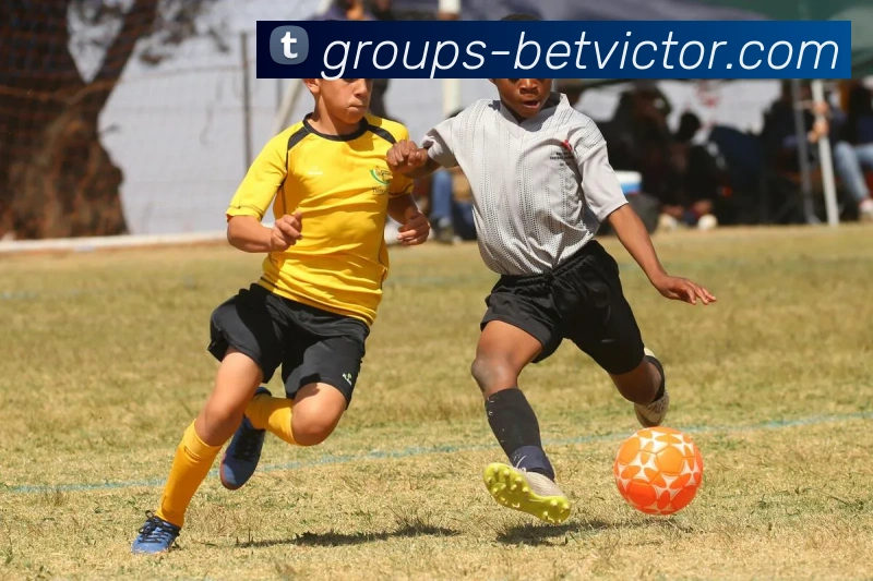 BETWAY必威官网服务体系